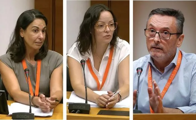El juzgado cita para el 9 de noviembre a la cúpula de la cooperativa de Les Naus