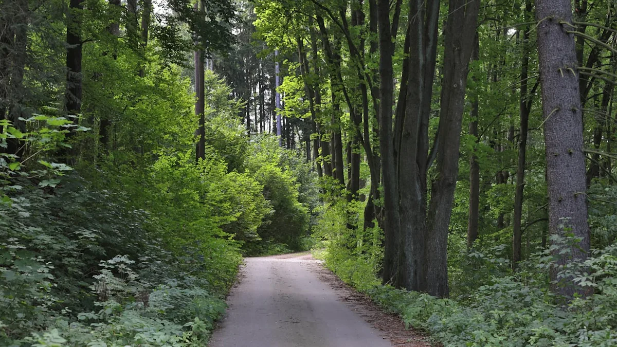Bei null Grad! - Mutter (41) setzt Sohn (8) nackt im Wald aus