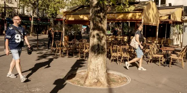 EN DIRECT, canicule : des températures qui ont dépassé 40 °C dans le Cher et la Vienne ; 80 départements en vigilance orange jeudi