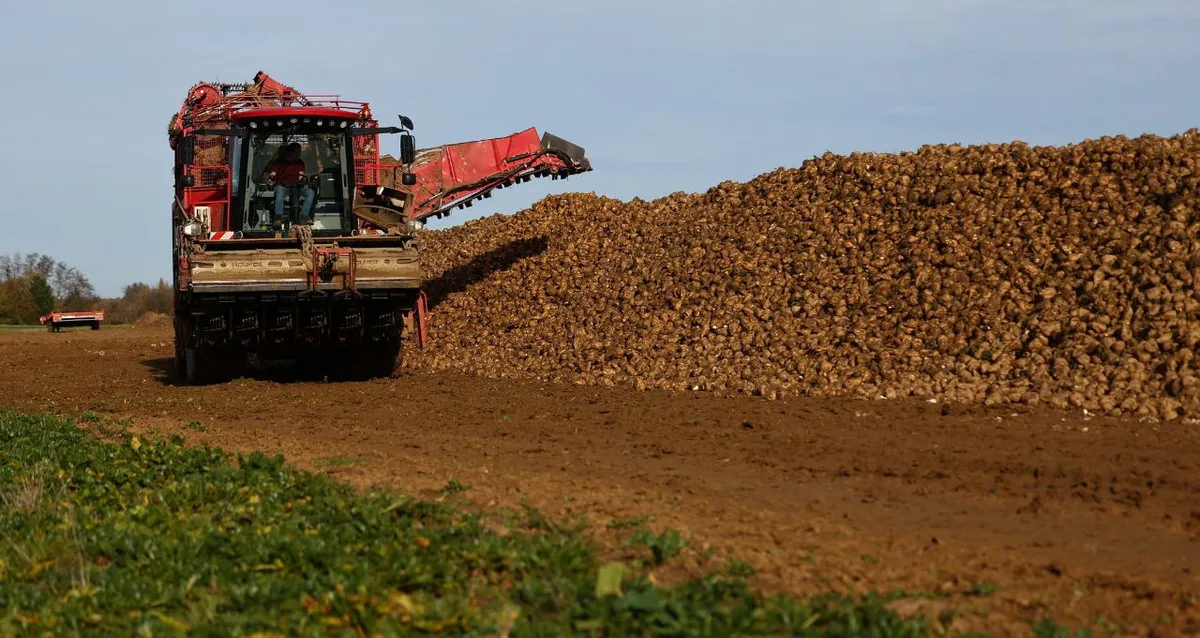 Tereos prevê produção de açúcar da UE no menor nível em 38 anos, em meio a clima adverso