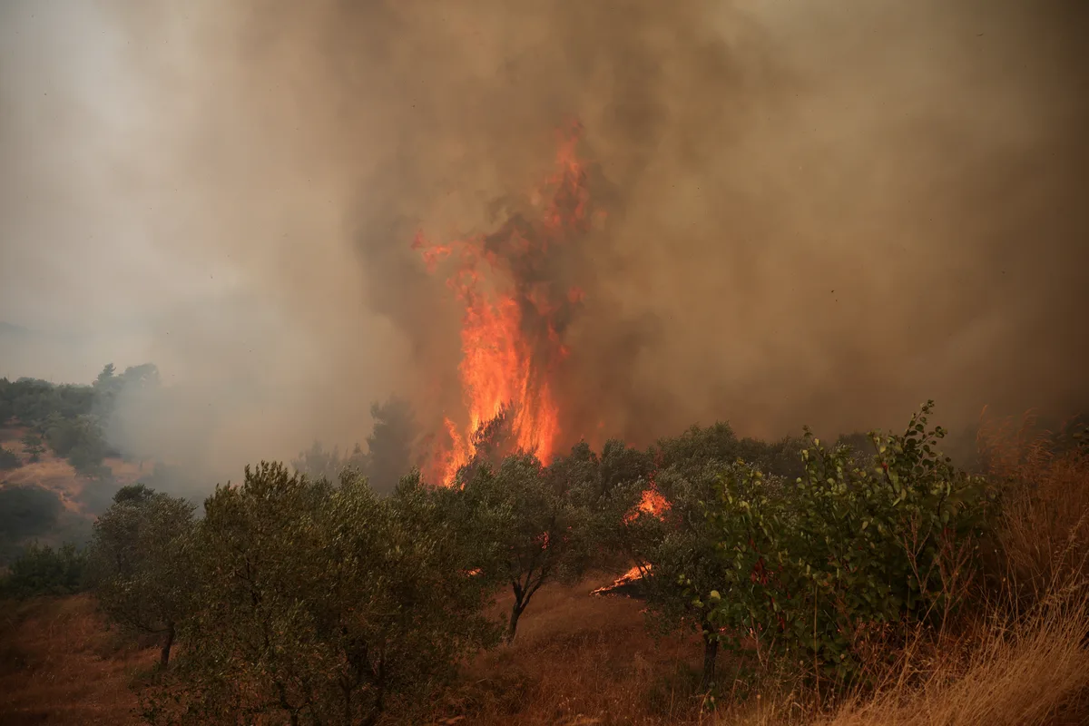 Incêndio florestal deixa o céu no norte da Grécia dominado por fumaça preta; VÍDEO