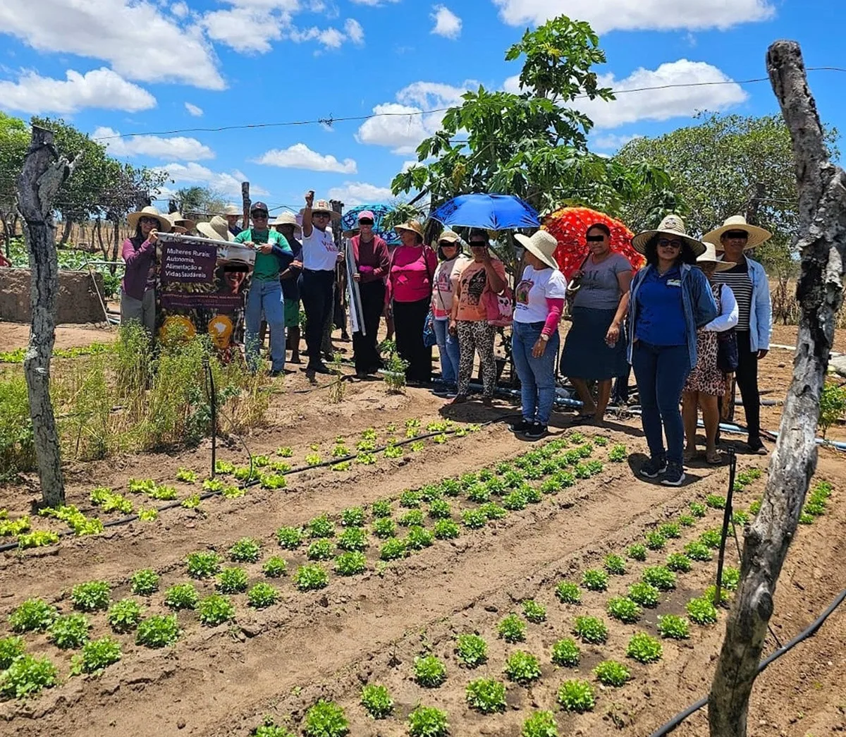 Associação pede multa de R$ 150 mil a agência de extensão rural