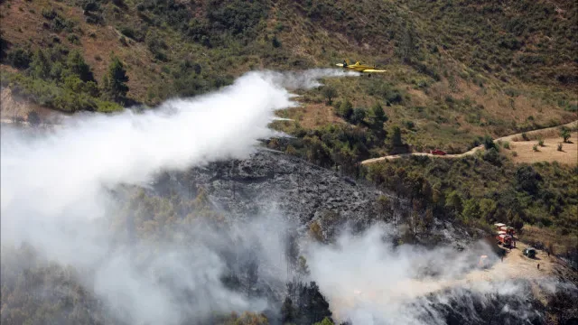 Incêndios na Argélia fazem 12 mortos e dezenas de feridos