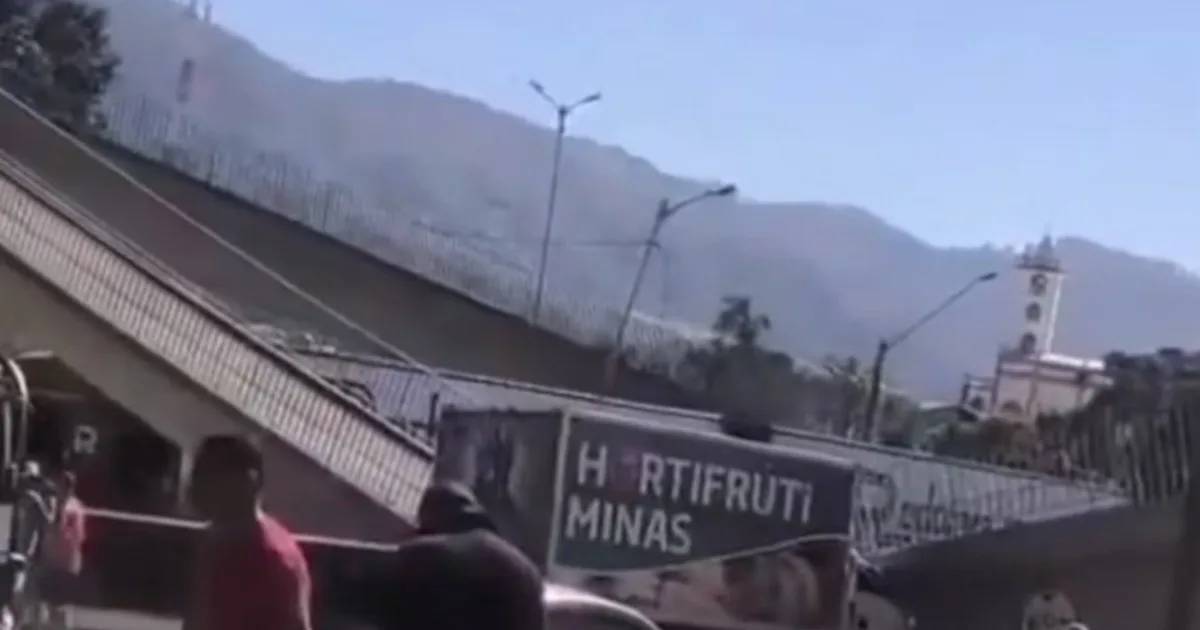 Tragedia en Brasil: dos muertos tras el derrumbe de un puente que fue chocado por un camión en plena autopista