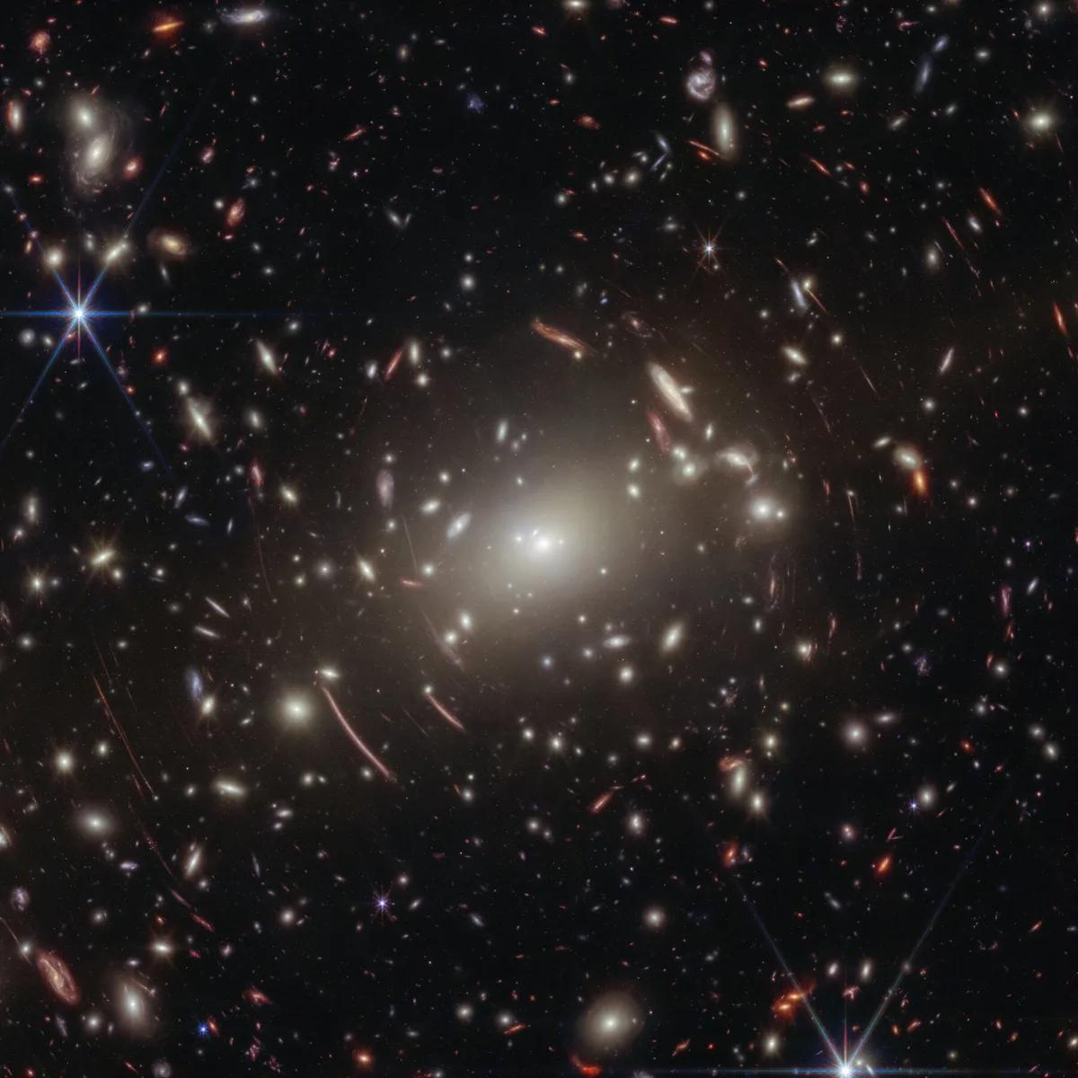 Massive Black Holes May Have Started as Little Red Dots