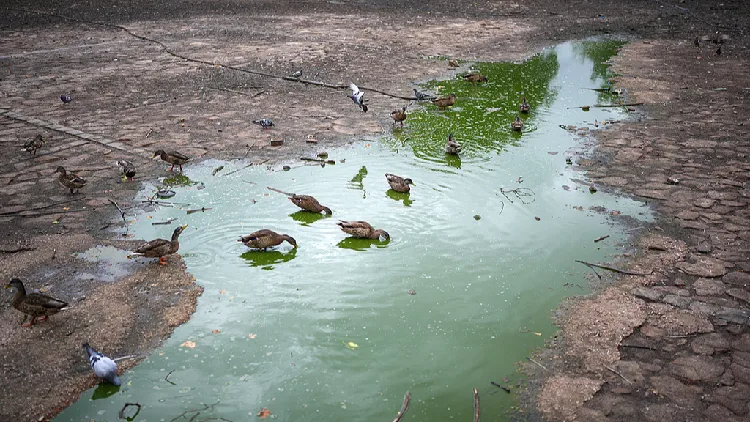 UK forecasts 'biggest' El Nino will smash records, spark hottest year
