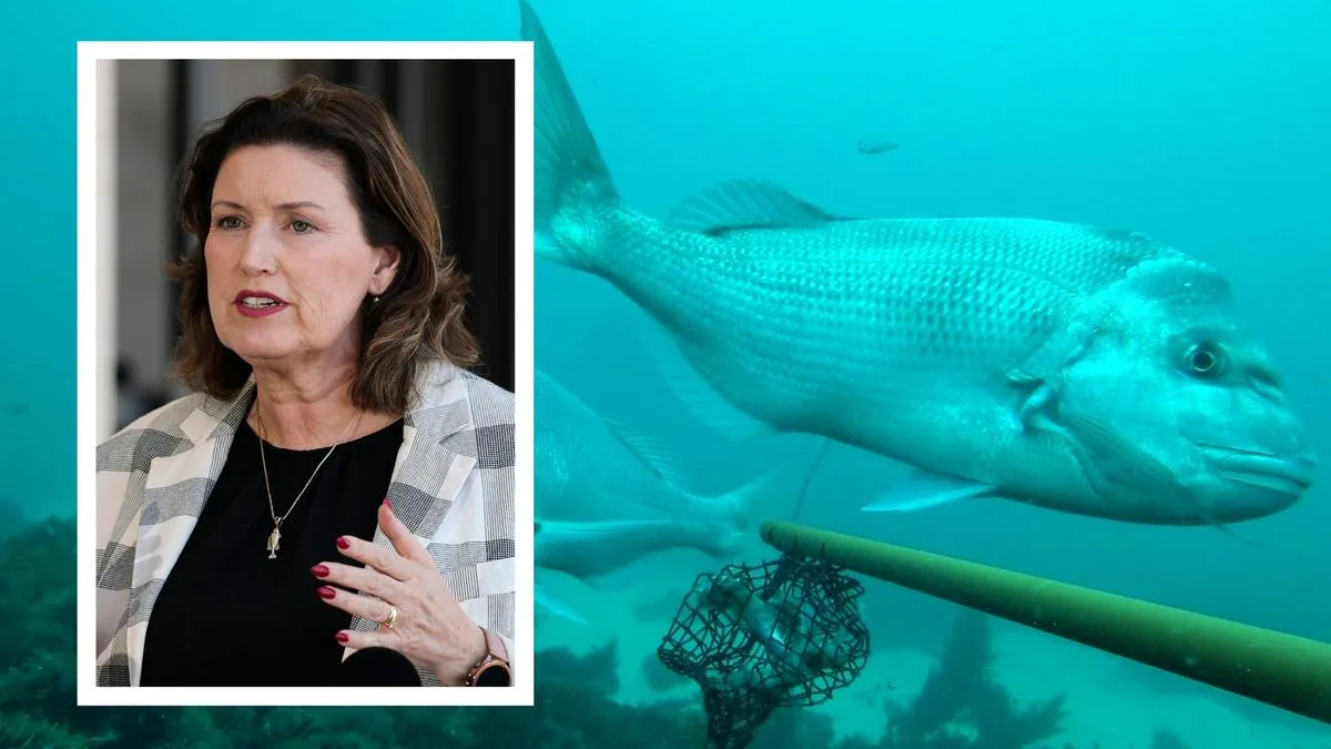 Change to demersal fishing ban compensation after only seven fishers compensated, class action launched