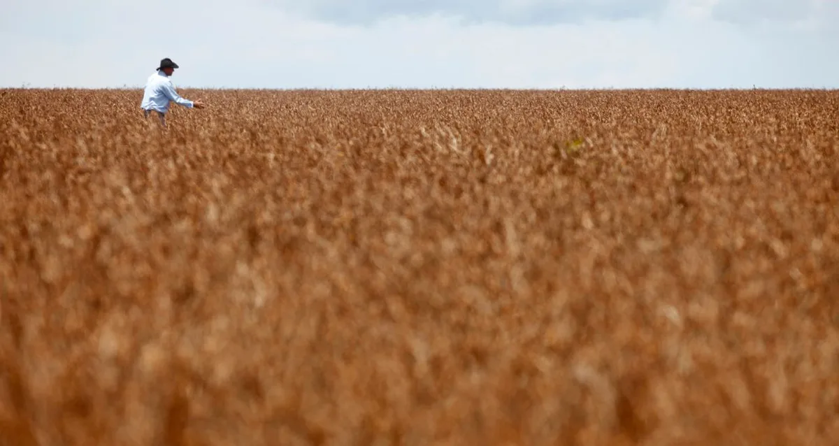 Área tratada com defensivos agrícolas sobe 5% no Brasil, enquanto valor do mercado avança 11%