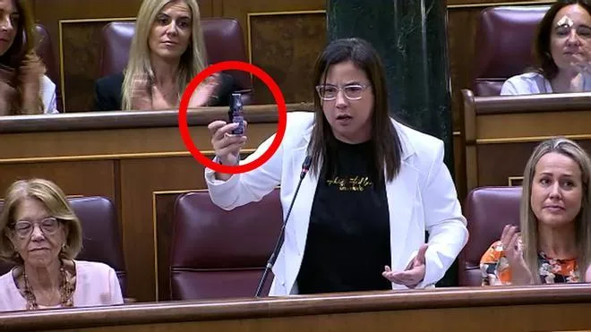 Un juez abre diligencias a la diputada del PP Ana Vázquez por el incidente del gas pimienta