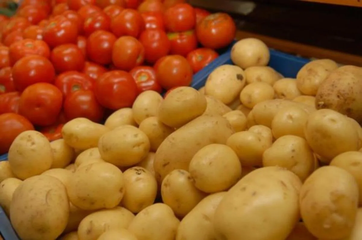Tomate sobe 37,76% e batata fica 24,07% mais cara em setembro