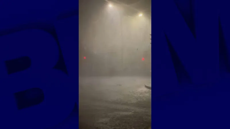 Les images des violents orages qui ont causé des dégâts dans la région lyonnaise