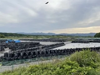 Japon : qui veut la terre « décontaminée » de Fukushima ?