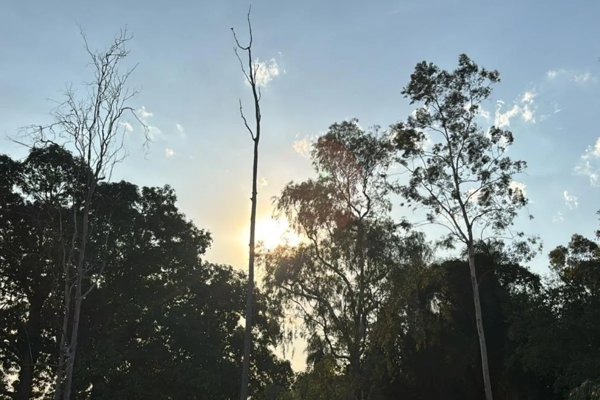 Alerta de tempestade em Campo Grande prevê chuva forte, raios e possibilidade de granizo