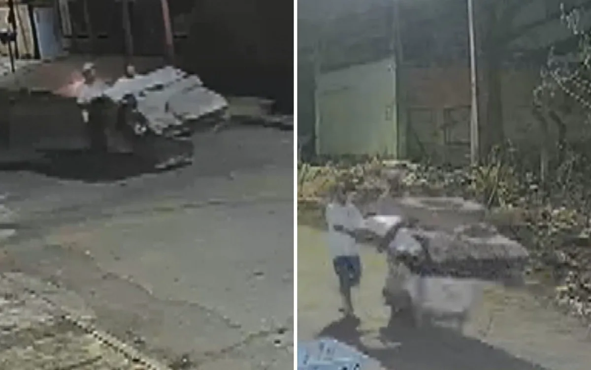 Homens empurram carrinho com corpo até escondê-lo em mata de Aparecida de Goiânia, diz polícia