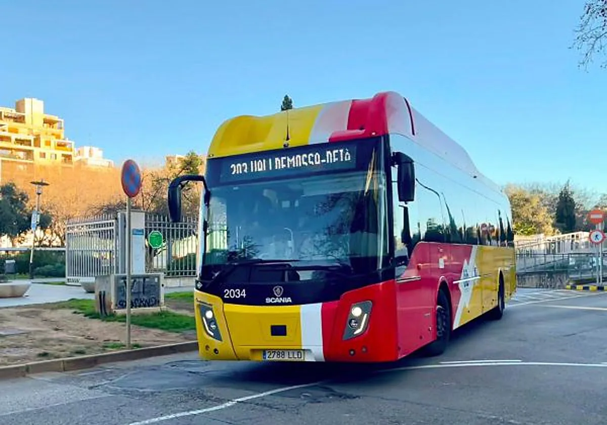 Muere un turista en Valldemossa al caerle una farola derribada por un autobús