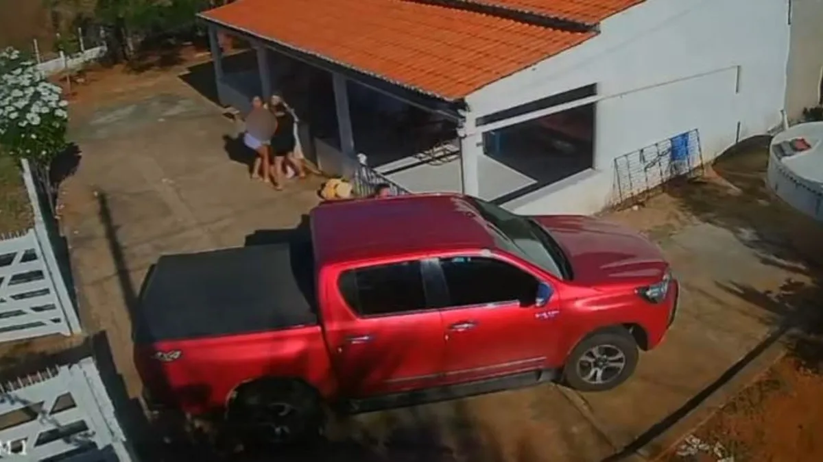 Idoso é picado por jararaca e socorrido inconsciente no Ceará; vídeo