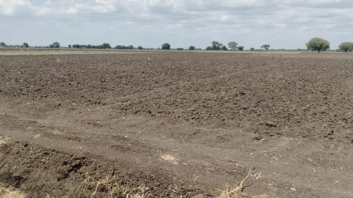 Prolonged dry spell leaves farmers in northern Thoothukudi worried