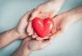 Una alternativa al trasplante que podría restaurar función cardíaca en niños con cardiopatías genéticas
