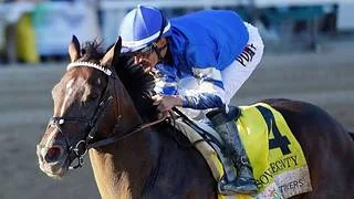 Última Hora: El Caballo del Año no correrá la Jockey Club Gold Cup (G1) por esta razón