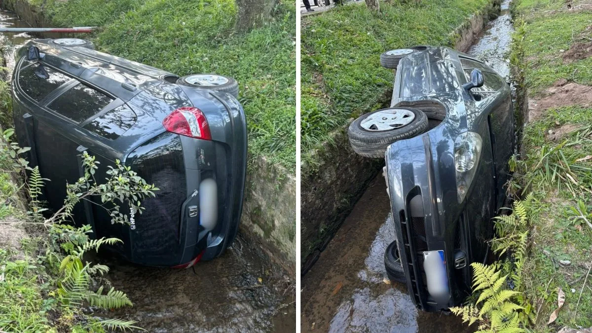 Estudante perde o controle de carro automático e despenca em córrego da UFSC de Florianópolis