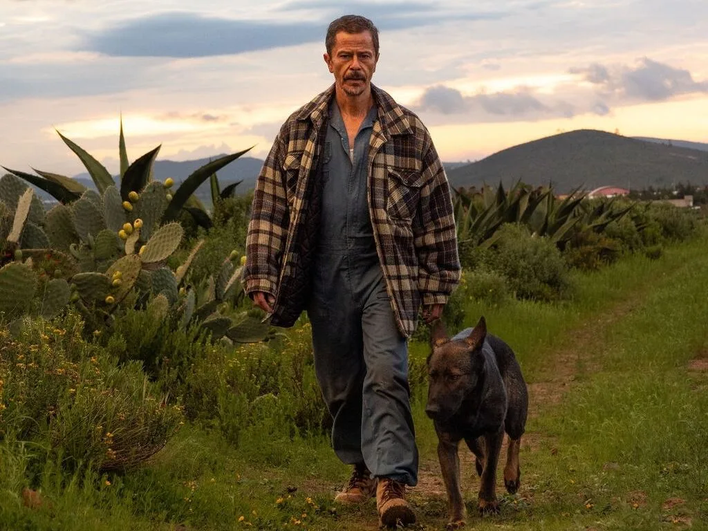 La película mexicana que ha sorprendido en San Sebastián y que pide ternura en tiempos de guerra: “Envidiamos cómo se hacen las cosas en España a nivel industria”