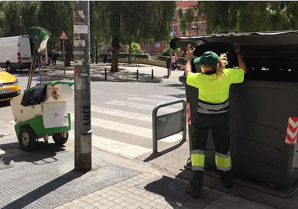 Valencia ya multa con hasta 3.000 euros por mear en la calle y no recoger los excrementos de las mascotas