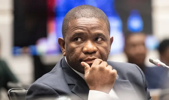 LISTEN | Prisons turning offenders into hard gang members, says Mkhwanazi
