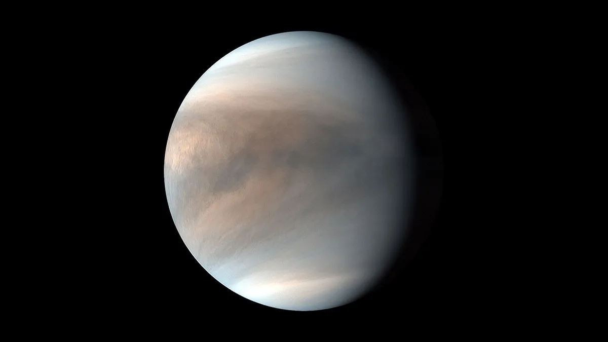 Rocket issues delay 1st-ever private mission to Venus: 'We are awaiting Neutron readiness'