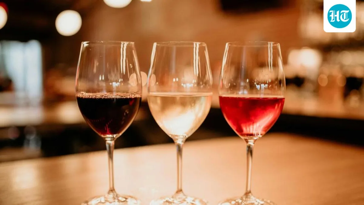 Kerala govt scraps bakery’s new ‘horti-wine’ licence, transfers excise officer