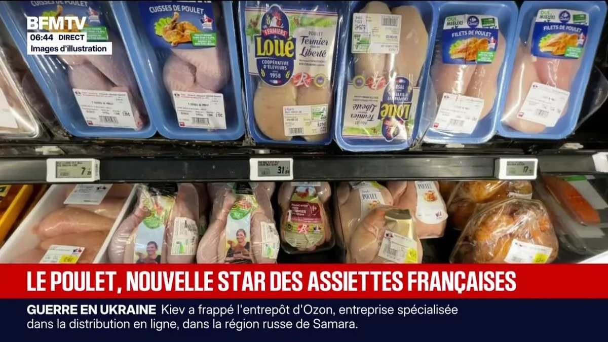 Consommation: les ventes de poulet s'envolent en France, les éleveurs français peinent à suivre la demande
