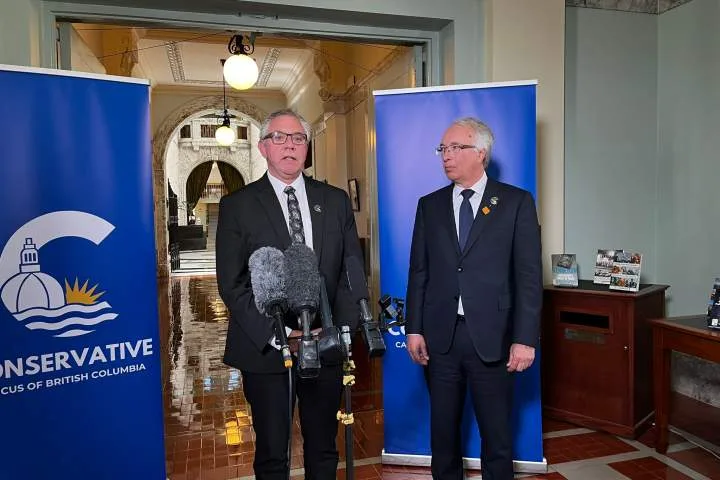 BC Conservatives interim leader says the party is ready for a snap election