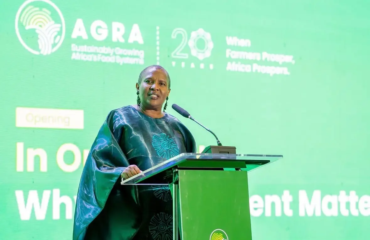 Africa's Green Revolution failed to deliver promised gains, new assessment finds