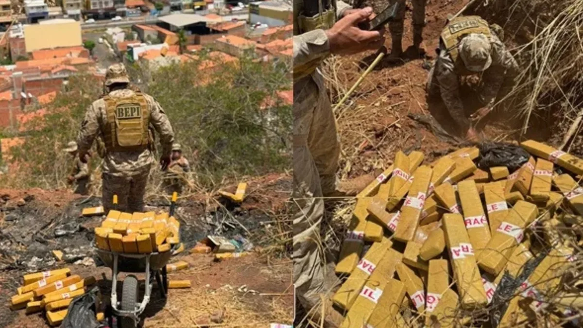 Homem é preso com 150 kg de maconha escondidos em área de mata em Picos