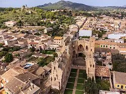 Äußerst hohe Sterblichkeit: Studie: Mallorca-Pest 1820 verbreitete sich anders als gedacht