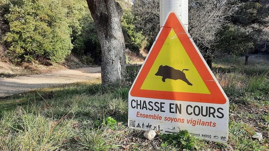 "Je suis très mal" : le président d'une société de chasse du Roussillon démissionne après des propos polémiques