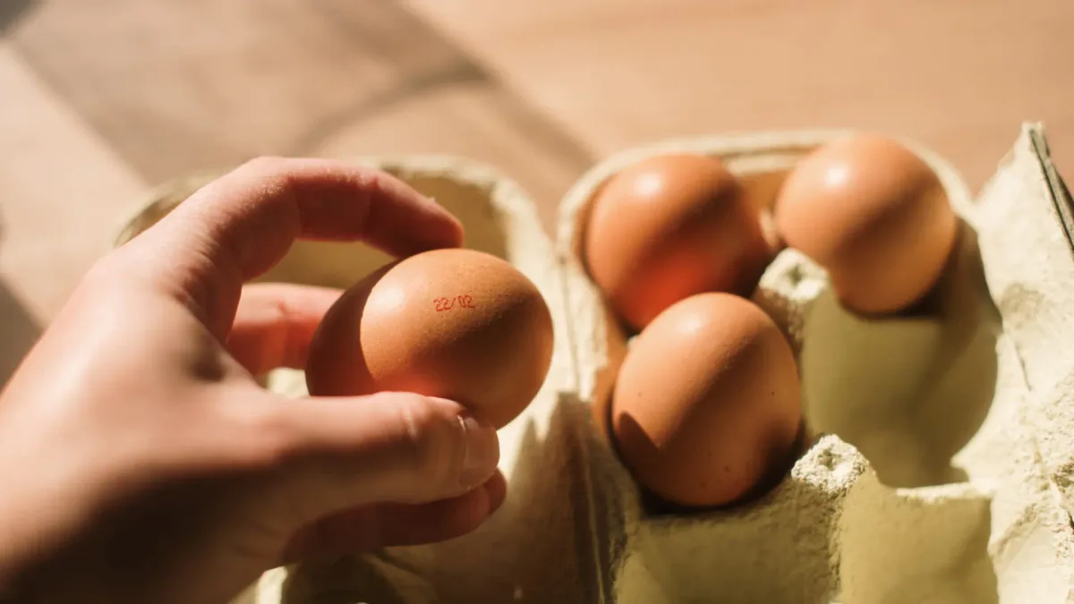 Alerta alimentaria en España por huevos contaminados con salmonela: hay al menos 13 personas intoxicadas