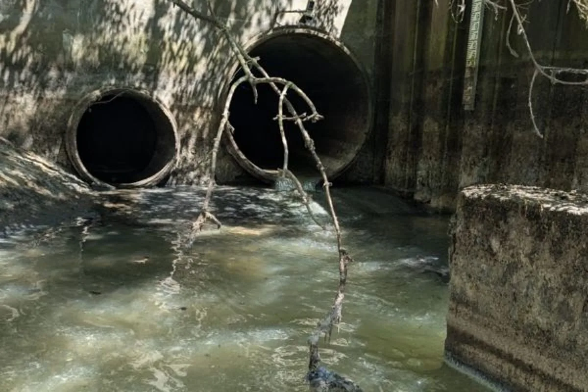 600million litres of sewage entering river flowing through London each year, shock study finds