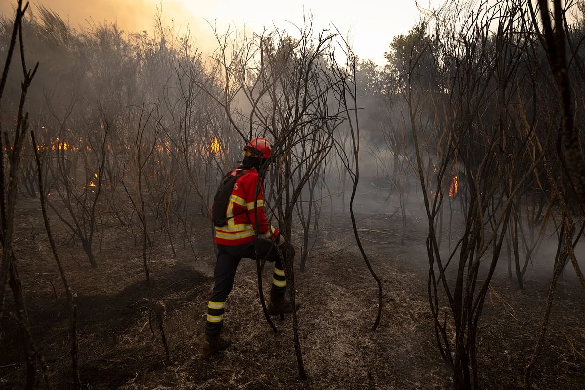 Mais de 750 bombeiros combatem quatro incêndios no norte do país e meios aéreos vão ser reforçados