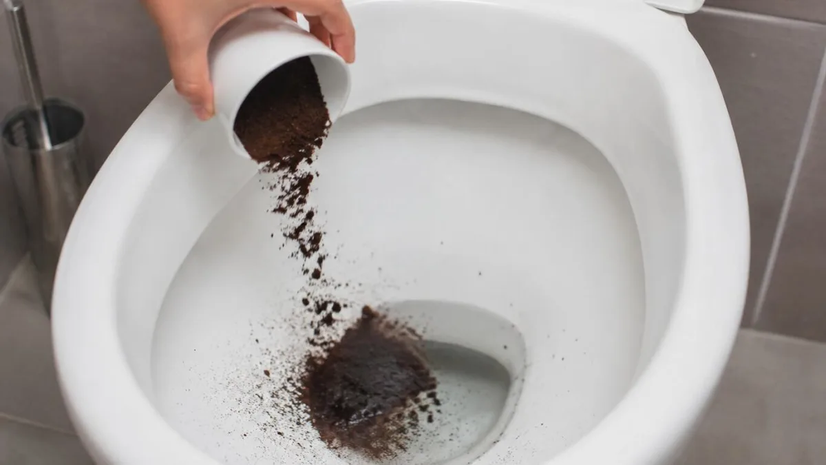 Tirar el café usado a la basura es un error: por qué expertos recomiendan hacerlo en el inodoro
