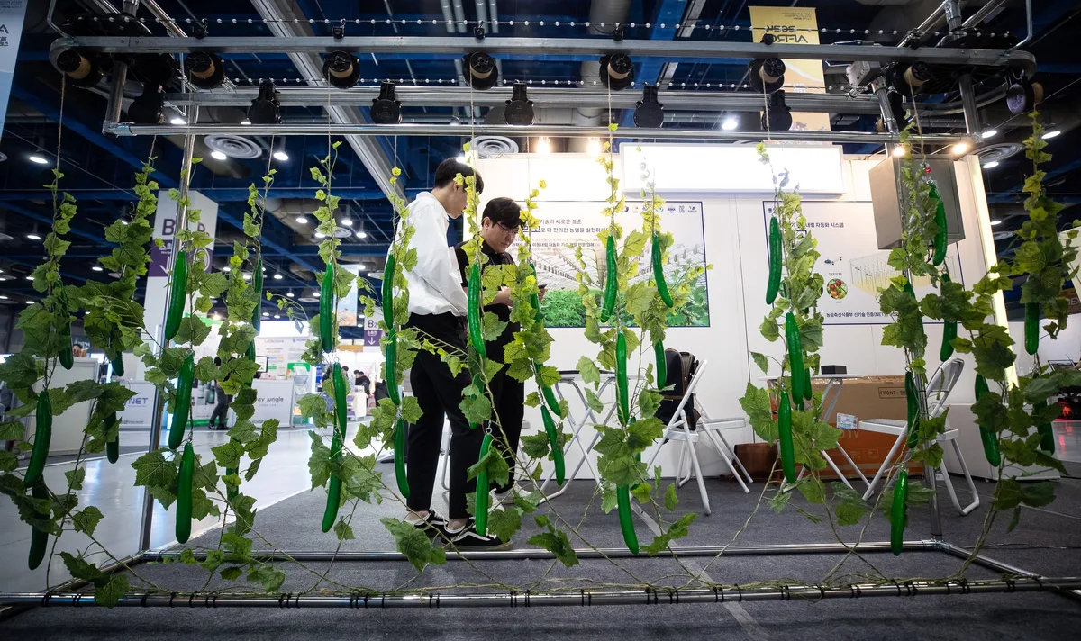 김치 유산균·라면 봉지 개발 등에 예산 255억 투입됐는데… 대기업의 R&D 기술이전은 고작 ‘3건’