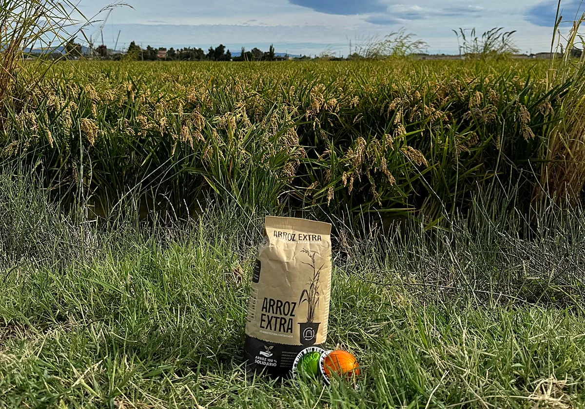El arroz que nace de una cápsula de café