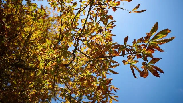Wetter: Sonne nach Regen: Bayern startet mild in die neue Woche