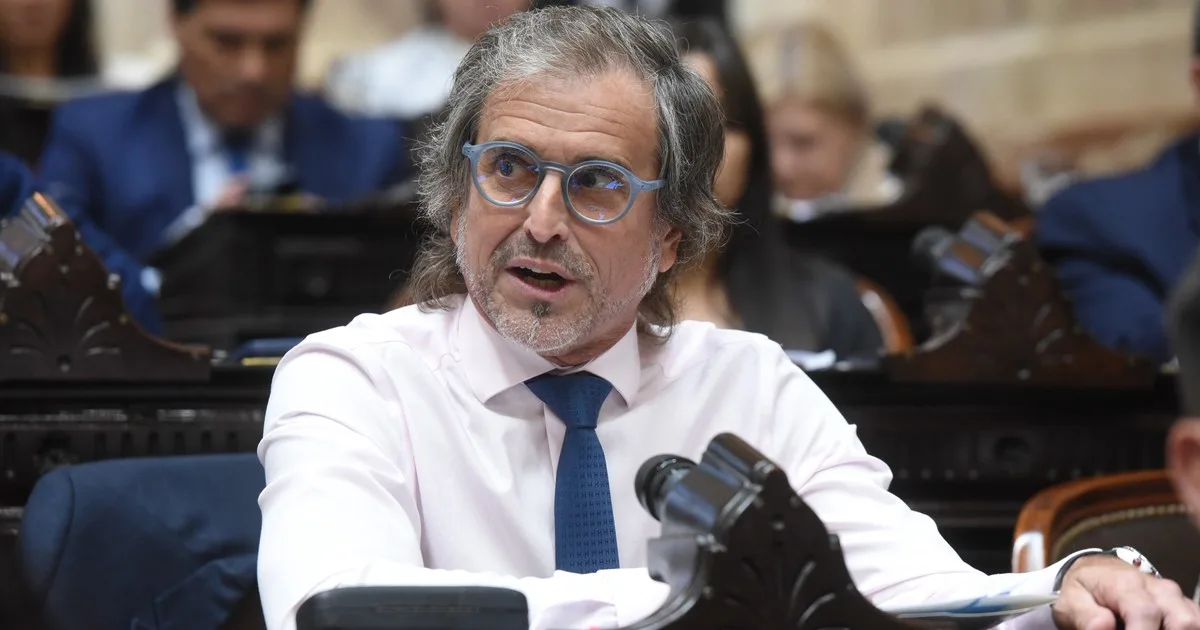 Benegas Lynch se opone al rescate de morosos: "Está el tipo que compró la televisión para el Mundial y, como Argentina no salió campeón, no quiere pagar la deuda"