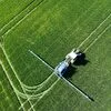 El Niño mais forte de sempre pode arruinar colheitas e fazer disparar preços agrícolas