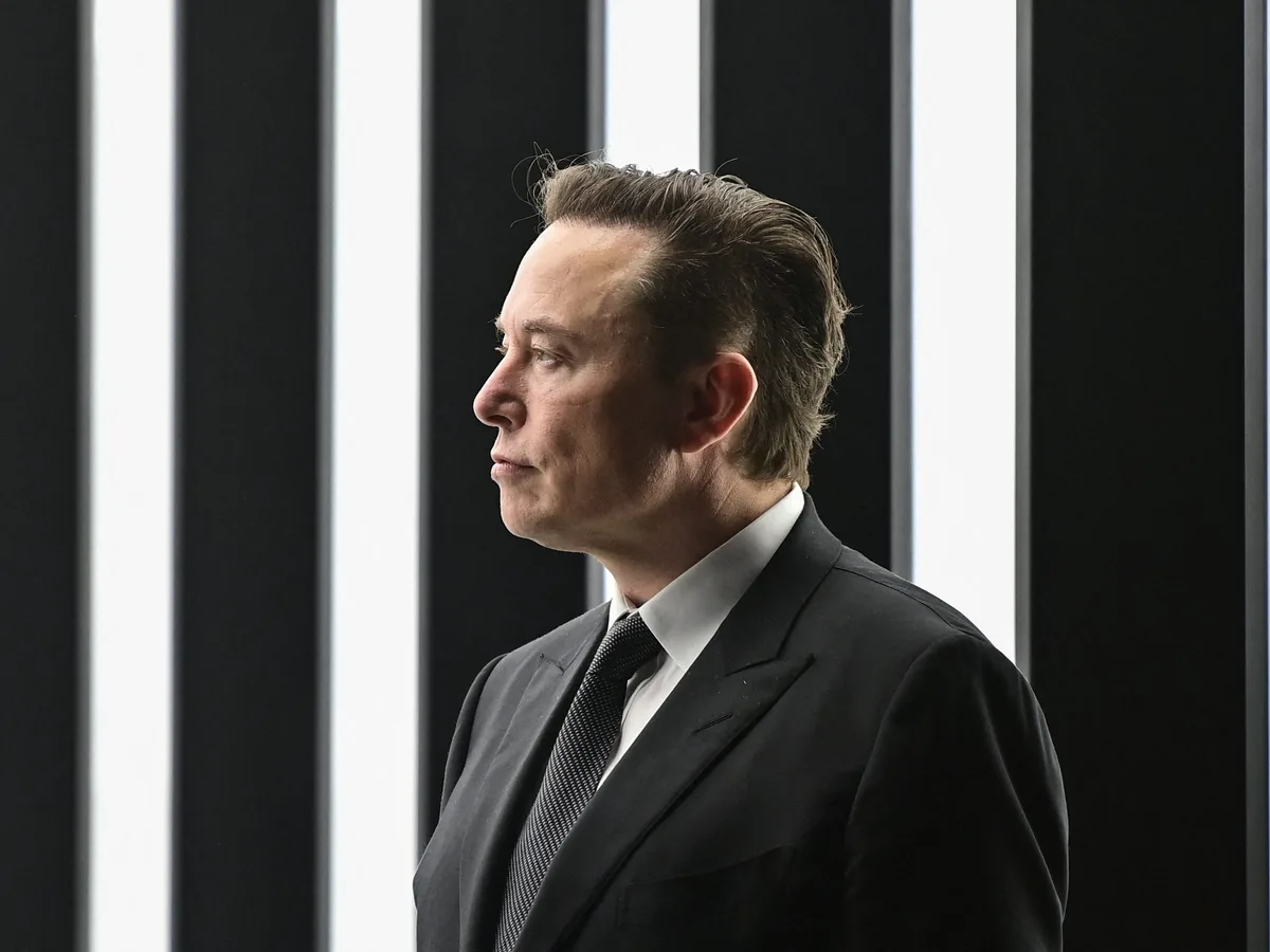 Elon Musk takes a dig at Waymo's pet collision history and says Tesla Robotaxi has a solution