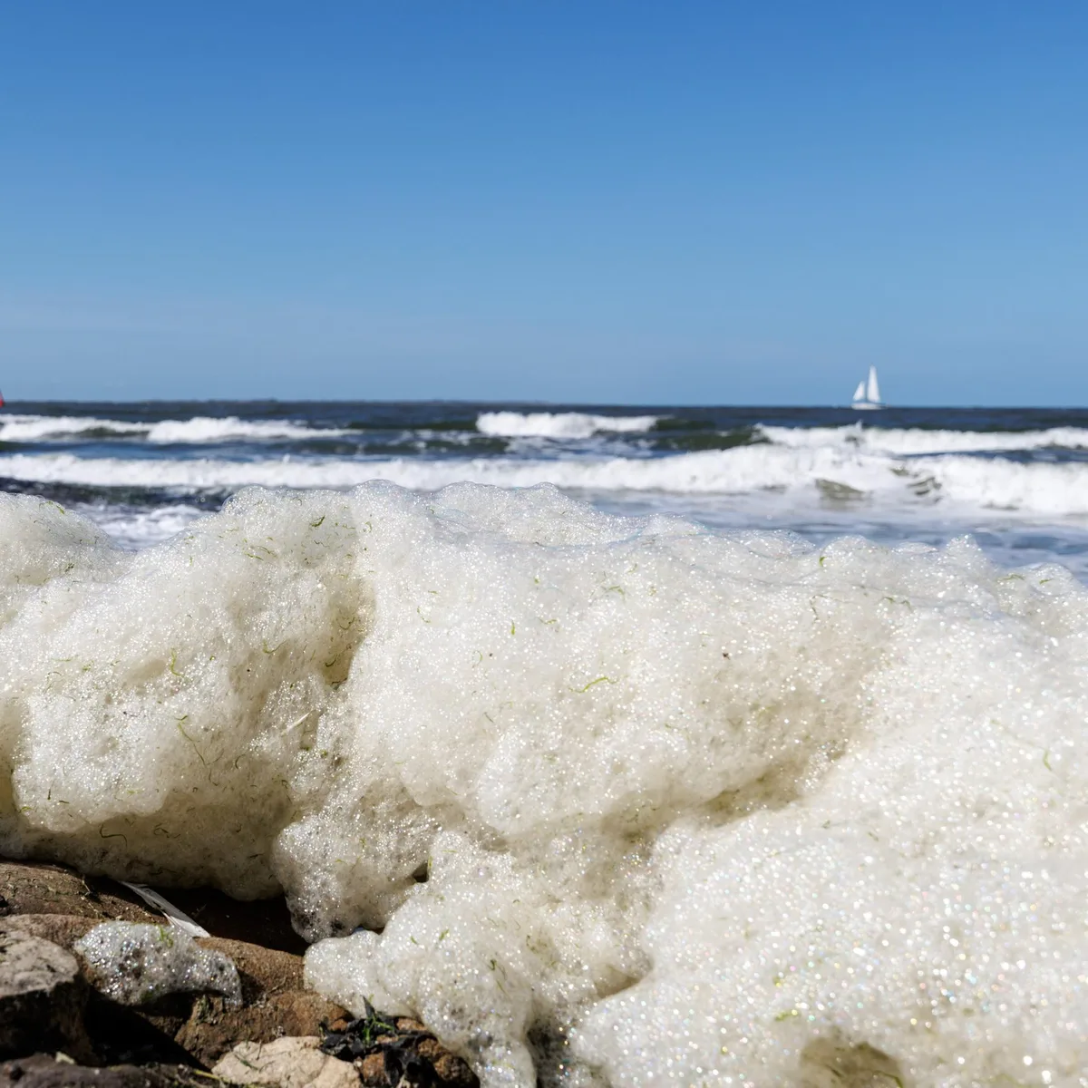 Klima - Bundesamt: Nord- und Ostsee in diesem Sommer "deutlich" zu warm