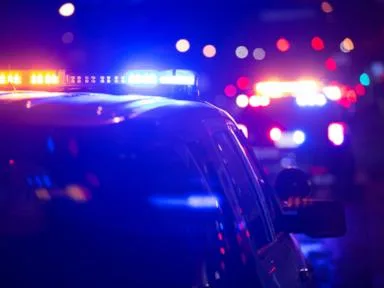 Bear attacks man at Colorado apartment complex, officials say