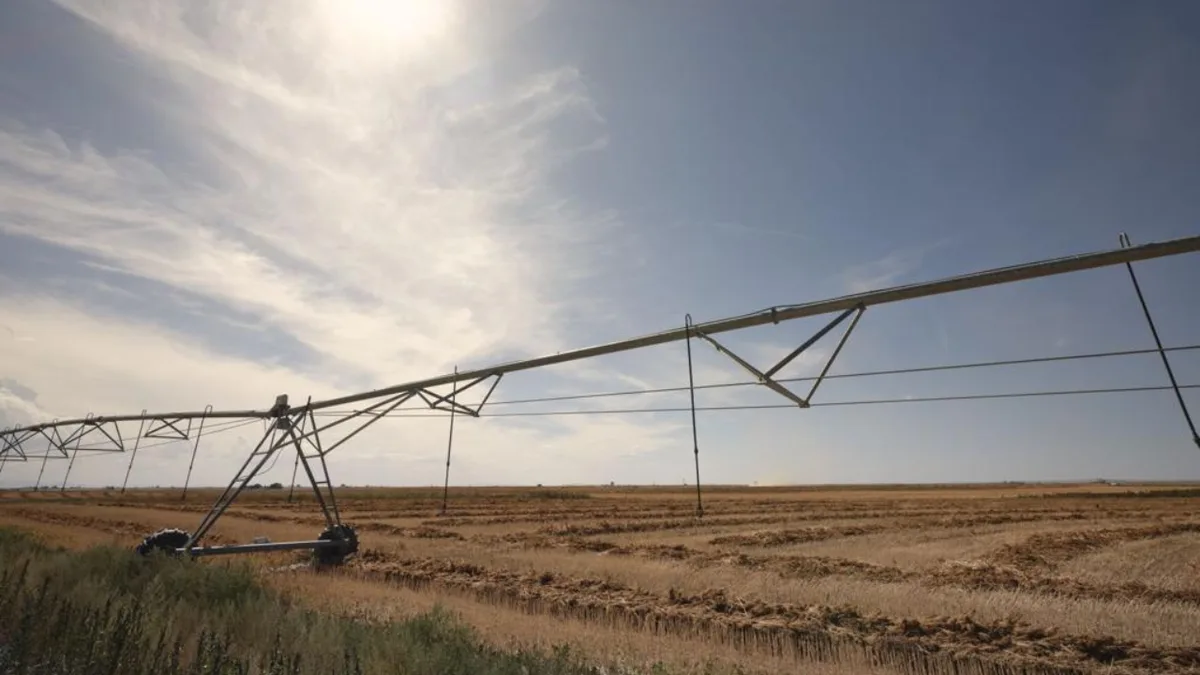 Idaho family sues after irrigation shutoff ruins crops on 1,000-acre farm