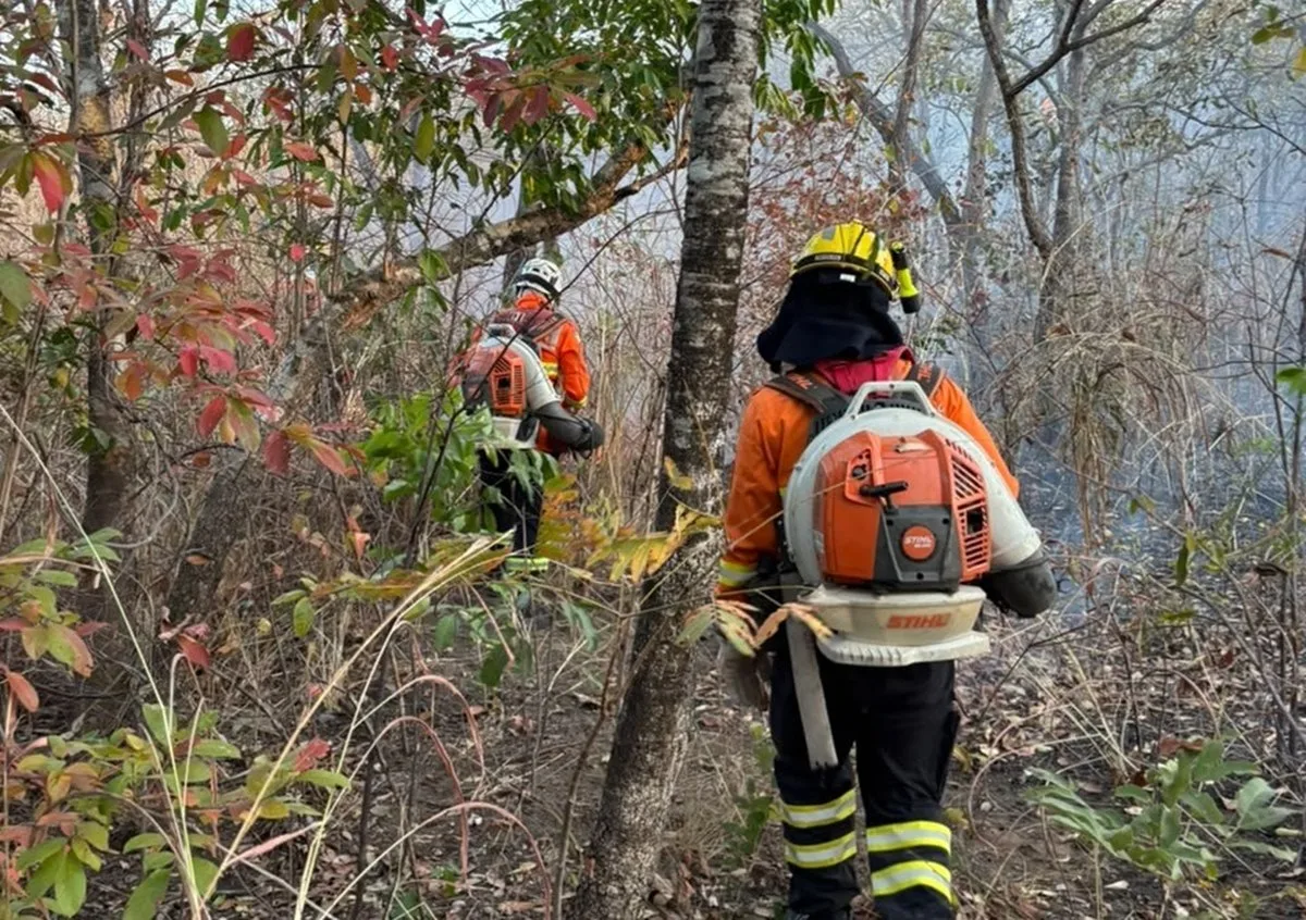 Incêndio destrói mais de 14 mil hectares no Parque da Serra Dourada, em GO