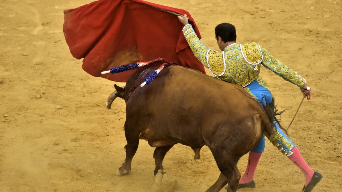 Muere el torero Cayetano de Julia de forma repentina mientras hacía deporte en un parque de Córdoba